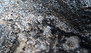 基于近紅外成像高光譜技術的巖石光譜隨水滲入時間的變化研究